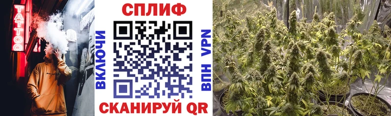 Канабис Bruce Banner  Шлиссельбург 